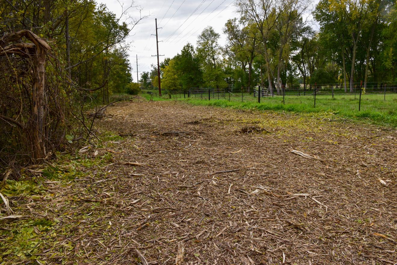Image showing vegetation management